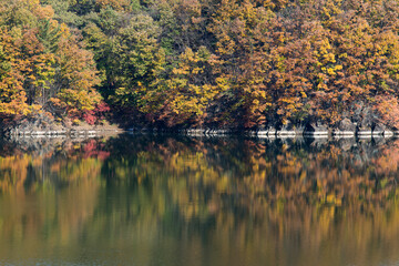 Reflection of autumn forest on the lake