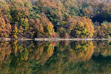 Reflection of autumn forest on the lake