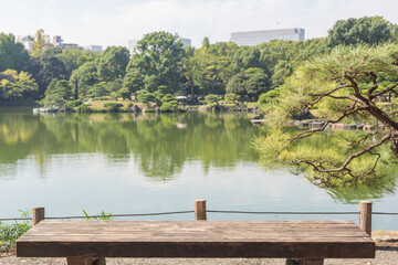 Naklejka premium empty bench in front of the calm pond in kiyosumi japanese park in tokyo