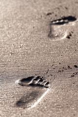Footsteps on sandy beach on sunset lights