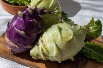 Heads of fresh ripe bio white and purple cabbage kohlrabi from organic farm, close up