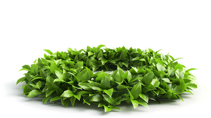 Obraz premium podium made of leaves, isolated, white background Ai generative 