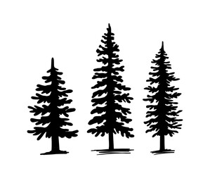 Pine Tree, Three Trees, set of silhouettes of trees
