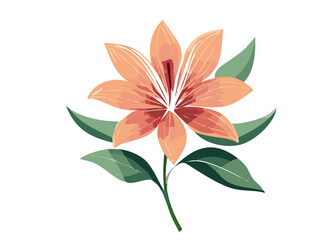 Beautiful floral flower