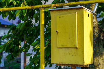 A yellow box with a metal lid sits on a pole next to a tree
