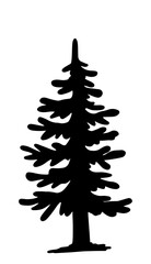 Pine Tree, vector illustration hand drawn, christmas tree silhouette