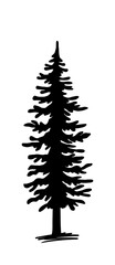 Obraz premium Pine Tree silhouette vector illustration hand drawn