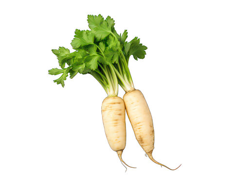 Parsnip isolated on transparent background, transparency image, removed background
