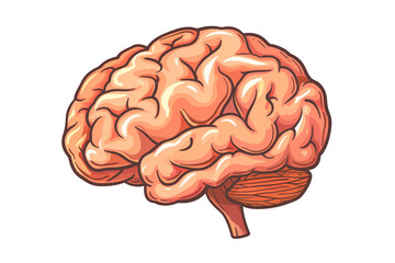 Cartoonish Brain Drawing - Human Mind Vector Illustration