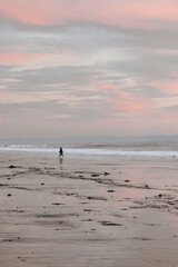 Fototapeta na wymiar walker on a tranquil beach
