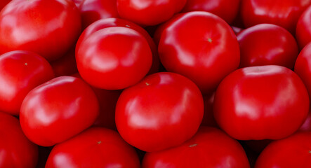 Tomato fruits close up