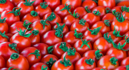 Tomato fruits close up