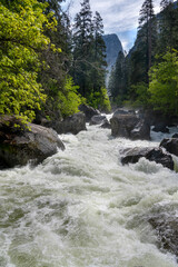 Yosemite national park, California USA. River on summer of 2023