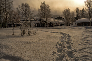 Snowshoe tracks in the evening; Grand Teton NP; Wyoming