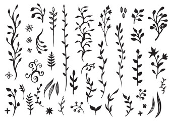 黒いたくさんの手描きの植物の飾りセット