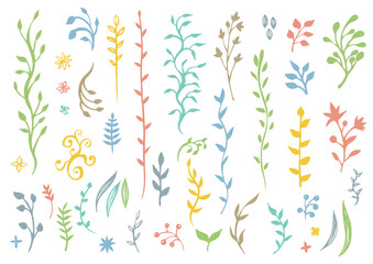 カラフルなたくさんの手描きの植物の飾りセット