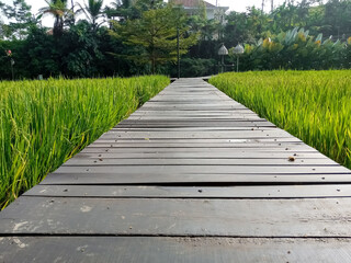 Obraz premium wooden bridge in the park