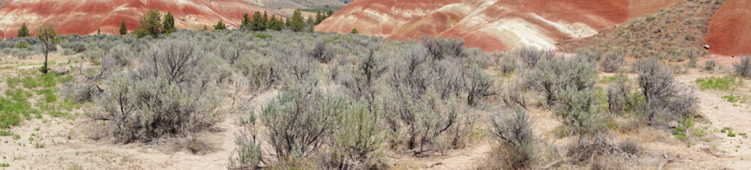 Striated red and brown paleosols in the Painted Hills - obrazy, fototapety, plakaty