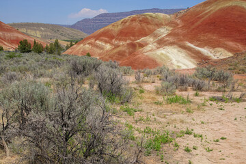 Striated red and brown paleosols in the Painted Hills