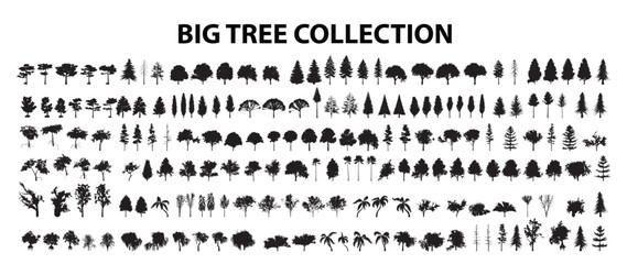 Tree collection Vector illustration. - obrazy, fototapety, plakaty