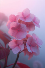 Red Hydrangea flower in the mist and fog, vertical background