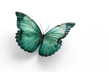 3d urquoise butterfly flying on transparency background PNG
