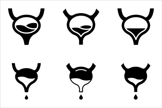 Human bladder line icon set. linear style sign for mobile concept and web design. Bladder internal organ outline vector illustration on white background