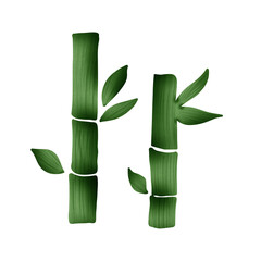 Bamboo 