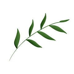 Bamboo leaves 