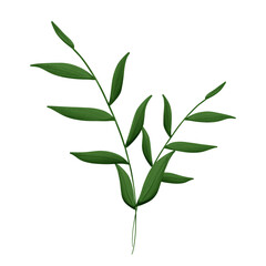 bamboo leaves 