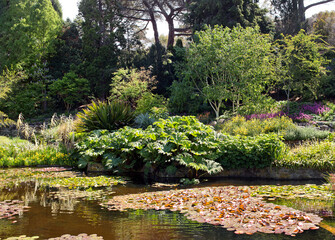 Royal Tasmanian Botanical Gardens panorama - 751958912