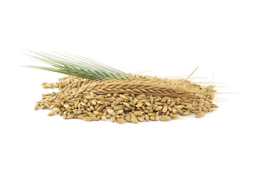 Barley seeds with the outer husk ears over white