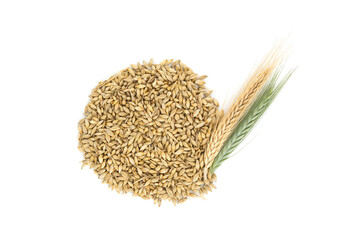 Barley seeds with the outer husk ears over white