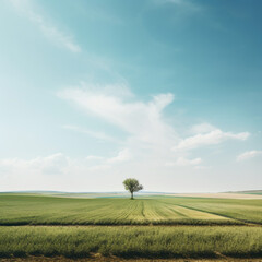 Obraz premium Minimal landscape with single tree