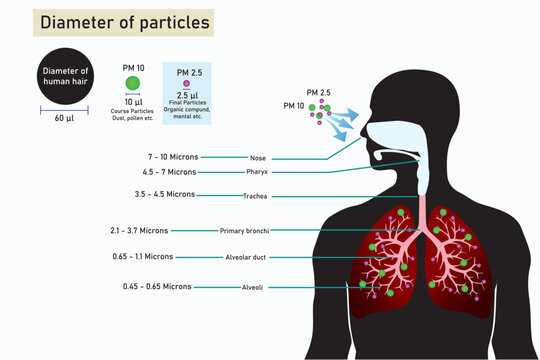 Breathing unhealthy levels of pollution from fine particulates (PM2.5) can increase the risk of health problems like heart disease, asthma, and low birth weight.