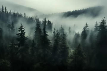 Crédence de cuisine en verre imprimé Gris foncé Misty landscape with fir forest in hipster vintage retro style