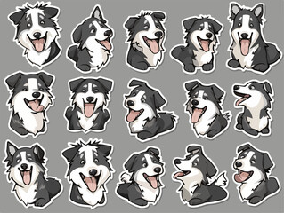 Border collie all kinds of avatar emoticon, cute puppy avatar, pet emoticon, pet store sign