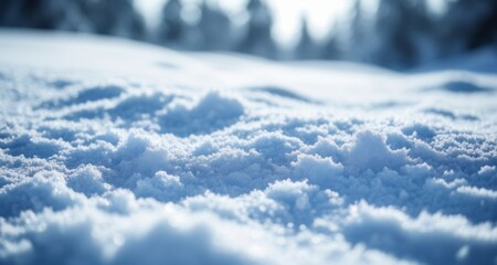 Fototapeta na wymiar Snowy serenity in the wilderness