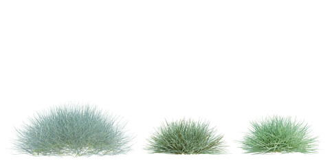 3d Render Brush Tree Isolated  on white