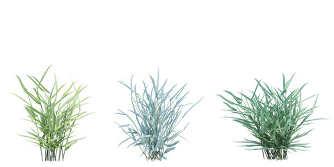 3d Render Brush Tree Isolated  on white