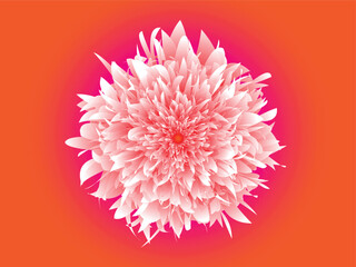 Flower petals vector, floral bud Vector flowers. Spring art print with botanical elements. Happy Easter. Folk style. Posters for the spring holiday. icons isolated on gradient gradient background.