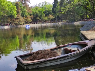 boat on the river, bote en el r&iacute;o
