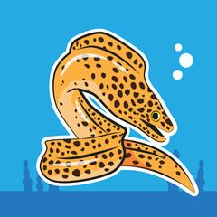 sea eel or moray