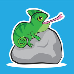 cute chameleon