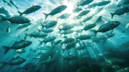 Fototapeta premium Serene Underwater Scene with a Shoal of Grey Mullet Fish in Motion 