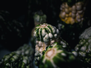 Close up of a vegetable