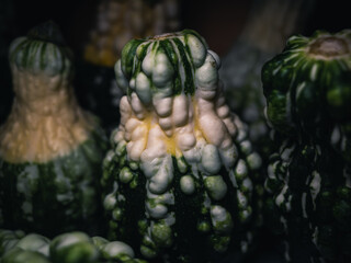 Close up of a vegetable