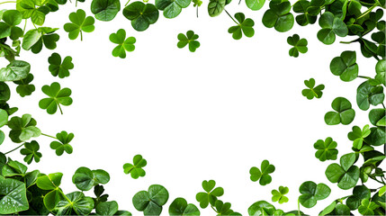 Fototapeta premium clover leaves are scattered in the form of a frame isolated on transparent background