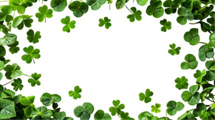 clover leaves are scattered in the form of a frame isolated on transparent background