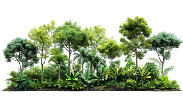 Fototapeta Greenery jungle trees group standing outside cut-out isolated on transparent background